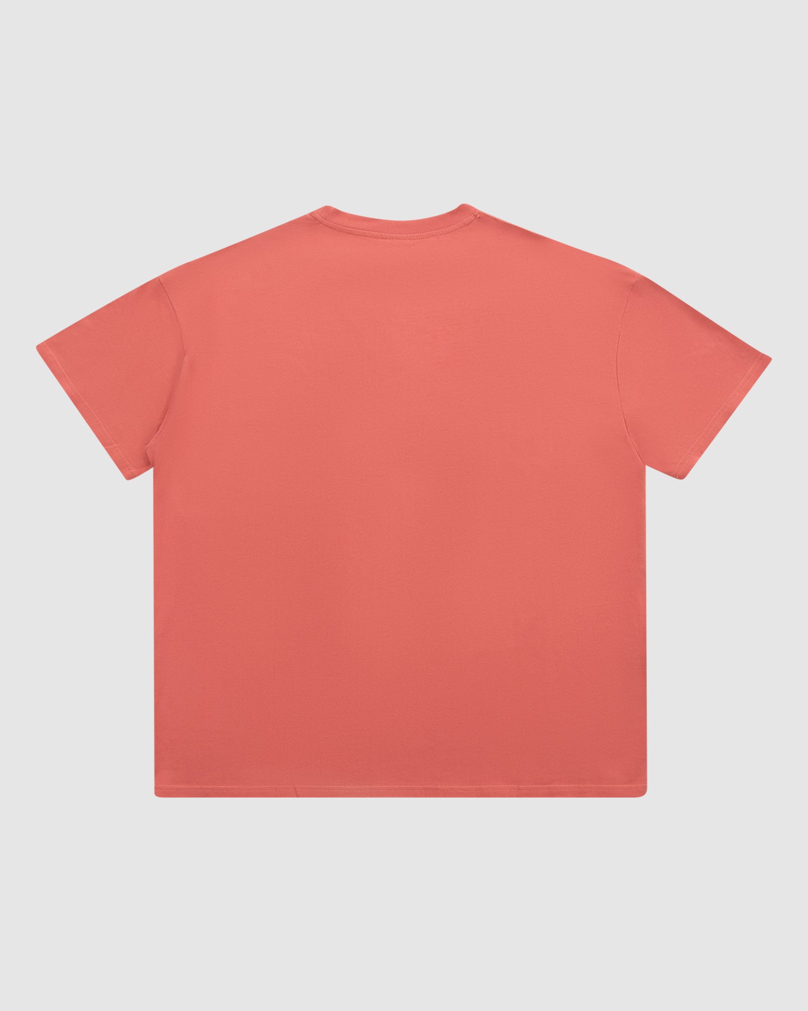 HOXTON VINTAGE FIT TEE - MELON