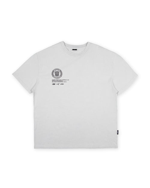 VELOCITY BOX FIT TEE - WASHED OYSTER