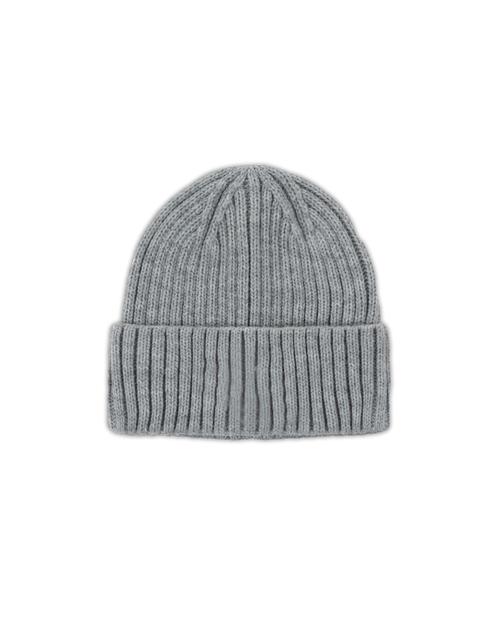 BRIXTON BEANIE - GREY